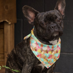Best bandanas on Zazzle